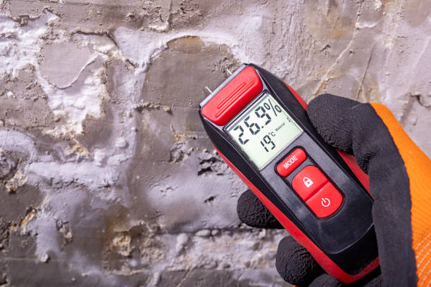 Best Mold Remediation Experts  in Aragon, GA