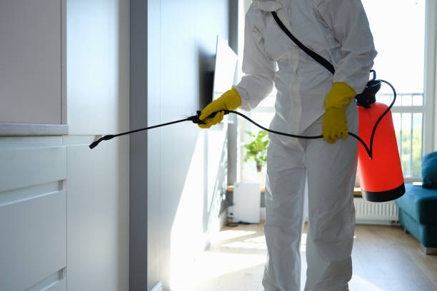 Best Certified Mold Removal  in Aragon, GA