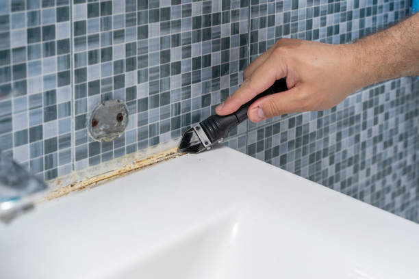 Best Best Mold Removal Companies  in Aragon, GA